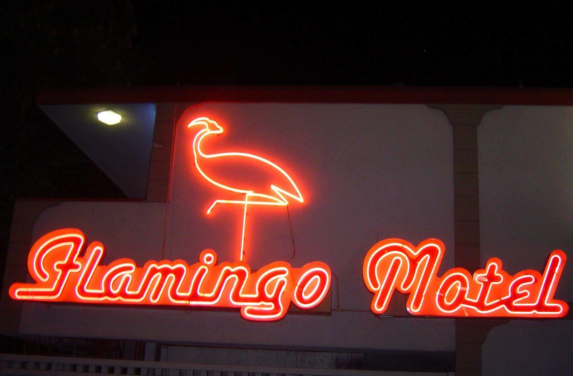 The Flamingo Motel Сан-Хосе Экстерьер фото